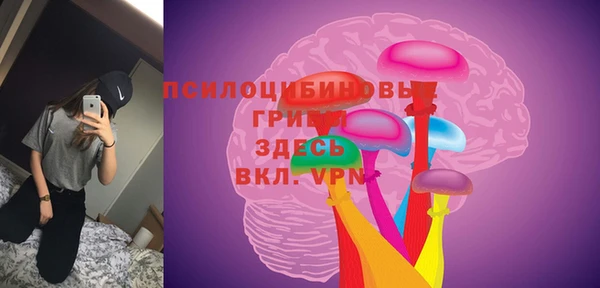 бутират Кукмор