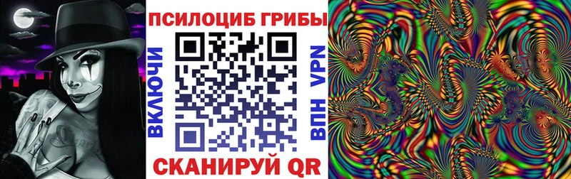 Псилоцибиновые грибы GOLDEN TEACHER цена наркотик Нязепетровск
